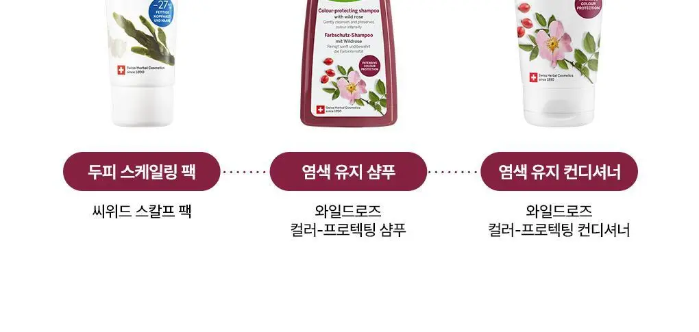 [염색&손상모발샴푸]라우쉬 와일드 로즈 컬러-프로텍팅 샴푸 200ml 상세페이지 12